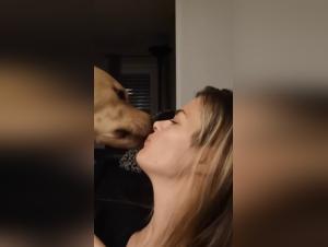 Ethical Boundaries in K9 Interactions