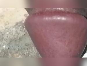 diving into controversial zoo art