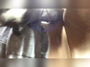 An evening of extreme zoophilia with Lise and her dog