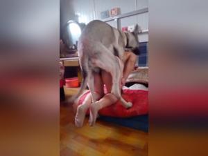 Forbidden Desires: Unveiling the Taboo