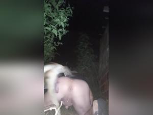 sexo animal hardcore: domina y perra