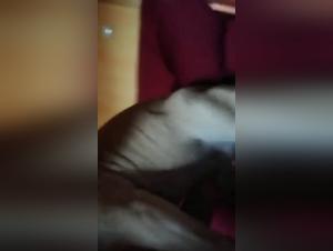 Buldog francés, sexo con su dueña