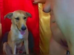 Vidéo de Sexe avec un Chien