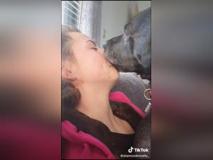 Forbidden Love: Human and Canine Intimacy