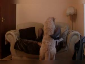 Caledonian NV and Shylark - Hardcore Sex and Extreme Bestiality Scenes