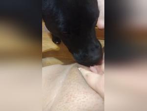 Papis Who Love Dogs Sexually the Most