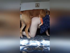 foules baises animales en france