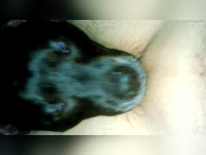 Sex Bestiality: Woman and Dog