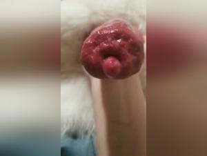 Baise Chien Femme Extreme