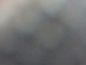 Chubby Woman and Her Best Friend on All Fours - Bestiality Video