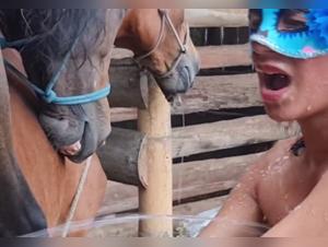 Bestiality: A Woman and Her Horse