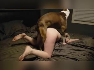 Woman Submissive to a Pitbull in Bestiality Video