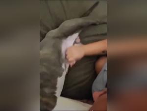 Young woman masturbates her dog
