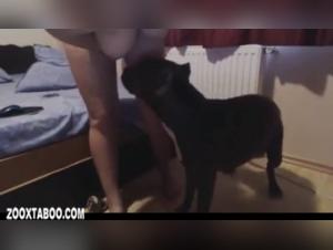 Woman and dog in bestiality sex video