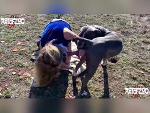 blonde dogwoman wild sex fuck