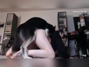 A Blonde Pussy Gets Sucked by a Dog in a Sex Video