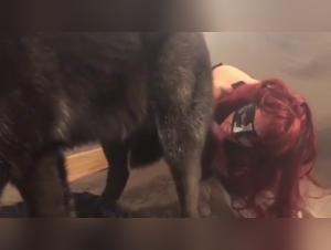 Woman and black dog: an intense bestiality video