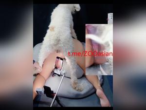 Chica Coreana con Perro 2