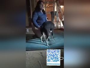 Hund vergewaltigt Frau
