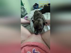 Perro Foca Mujer