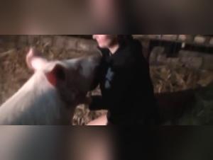 Bestial encounter: woman and horse