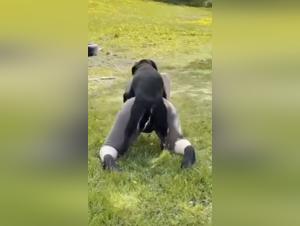 Unveiling Forbidden Desires