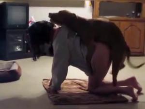 Woman and Dog: A Forbidden Meeting