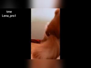 A Dogger Girl Sucks Her Dog: A Delicious Epilogue