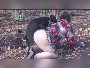 Milly Baise Chien Partie 3 - Fantasmes XxX