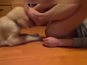 Dog licking a young woman in an intense zoophilia scene