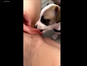 Bestiality: A young woman and her dog