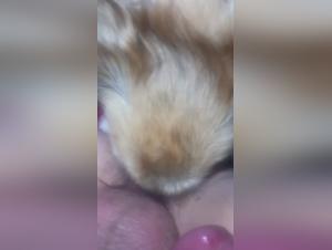 free beastiality videos