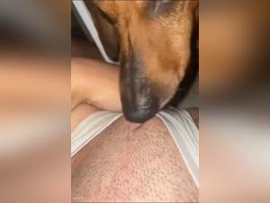 Chicas Follando Perros: Teen Dog Fucks Raw
