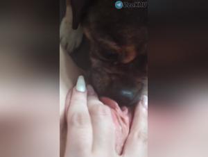 Dog's Lick, Woman's Lust: Extreme Bestiality