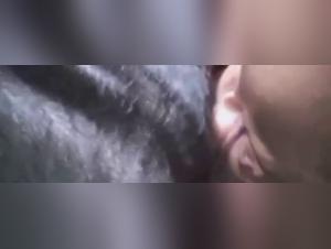 Bestiality video compilation: pig and women