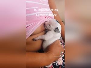 Bestiality sex video: Woman breastfeeding a puppy