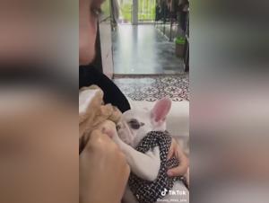 Asian woman and her dog: a scene of extreme zoophilia