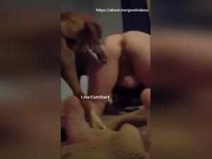 Wife Knotted Chien Fougueuse