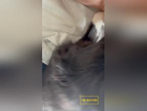 tierswelt lick : tierischer lust