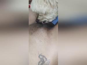 Sex with dog: a brunette and a dog in a bestial scene