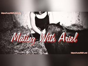 Ariel - Coupling with a Pig