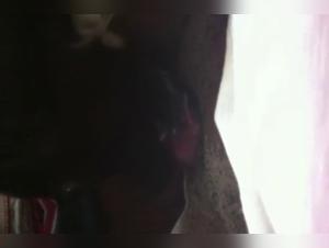 Submissive wife gets fucked by dog   in bestiality sex video