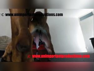 Milly Chien Biais Extreme 720p