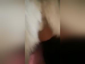 Explicit Zoophilia Videos - Don't Miss Our Selection!