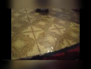 First Bestiality Experience: Dog and Mistress