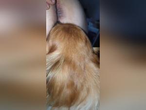 Woman and Dog: A Passionate Encounter - Patrisia