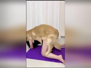 placer prohibido: explorando zoo tube