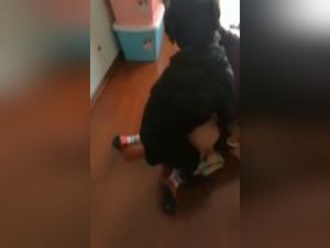 Zoophilia Videos - Discover Sex with Animals