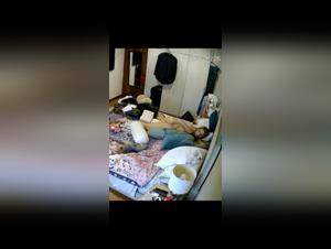 IP Cam Dog Bias LIVE