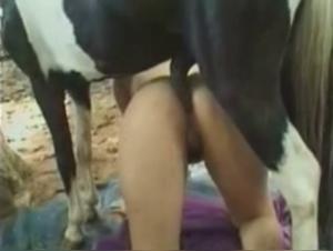 Bestiality: a woman and a horse